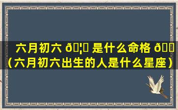 六月初六 🦉 是什么命格 🐠 （六月初六出生的人是什么星座）